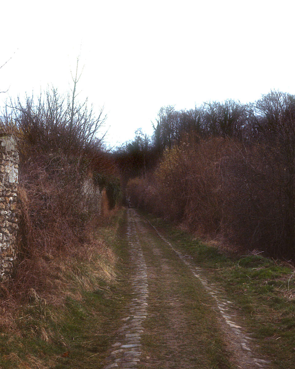 François de Monville: le Colonne Détruite, Désert de Retz (1781-1785) © Thomas Deckker 1984