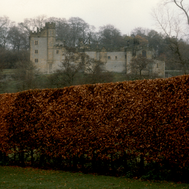 Hedge, winter, Haddon Hall photo © Thomas Deckker 1982