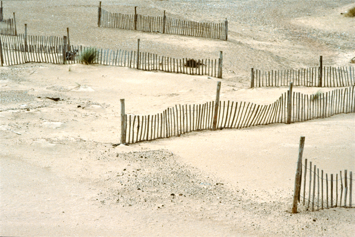 Sand Fence, Blakeney Point photo  Thomas Deckker 1991