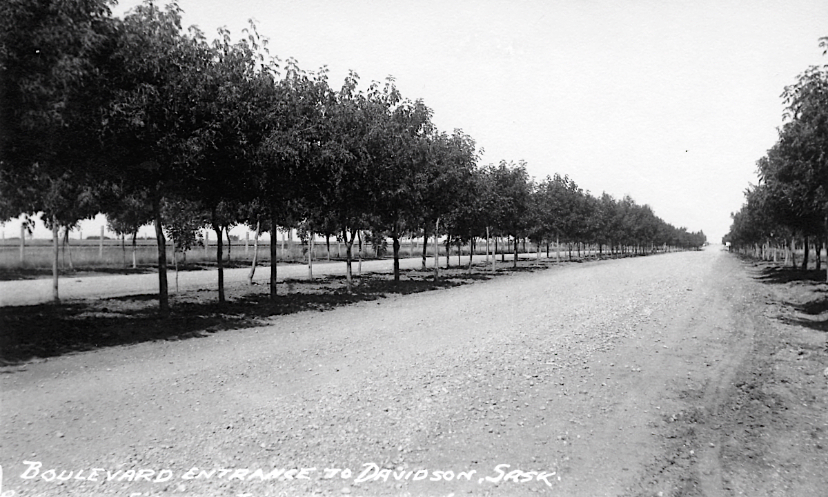 Boulevard entrance to Davidson, Saskatchewan Historic Photograph © www.prairie-towns.com